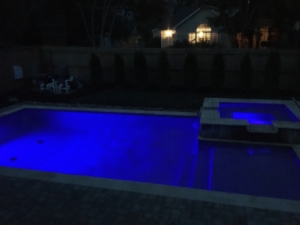 Custom Backyard Pool